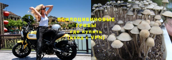 a pvp Билибино