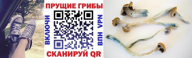 Галлюциногенные грибы ЛСД Мглин
